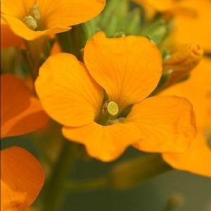 Meet your Posher, Milana